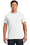 Horseback Adventure series T shirt