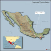 MtnGrounds - CENTRAL AMERICAN